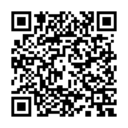 QR code for Q307