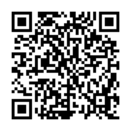 QR code for Q313