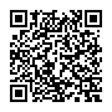 QR code for Q317