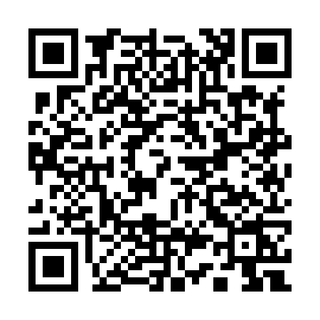 QR code for Q318