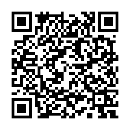 QR code for Q334