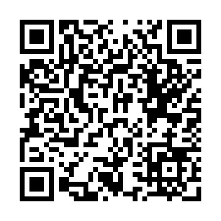 QR code for Q3376