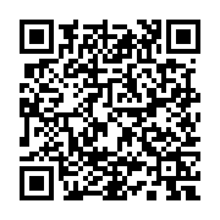 QR code for Q355