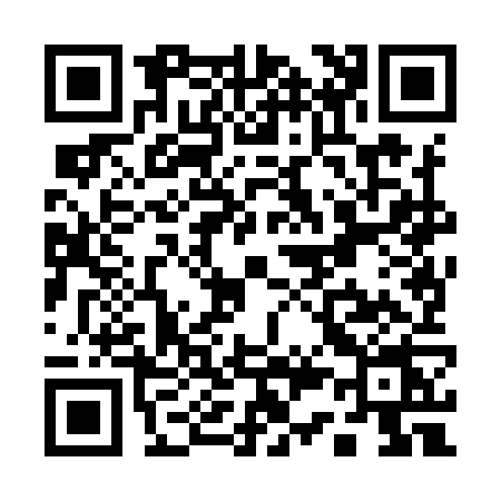 QR code for Q389