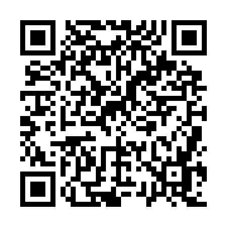 QR code for Q393