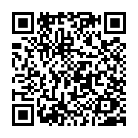 QR code for Q395