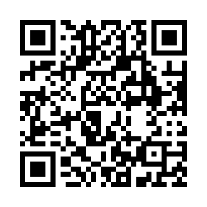 QR code for Q41