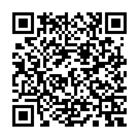 QR code for Q453
