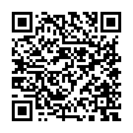 QR code for Q4595