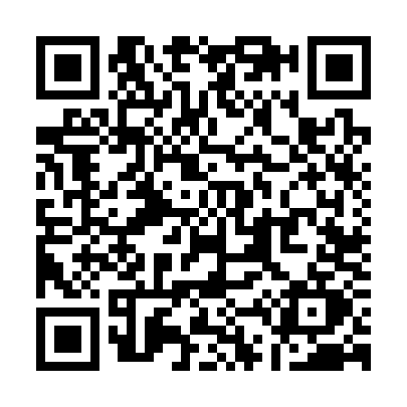 QR code for Q463