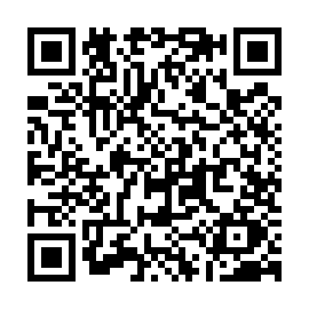 QR code for Q495