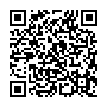 QR code for Q5393