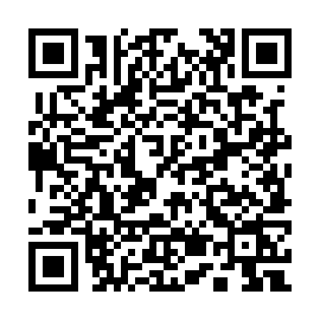 QR code for Q541
