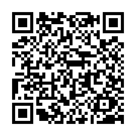 QR code for Q555