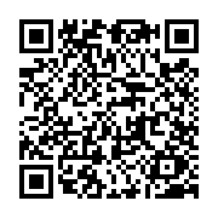 QR code for Q594