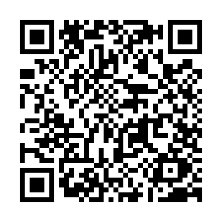 QR code for Q595