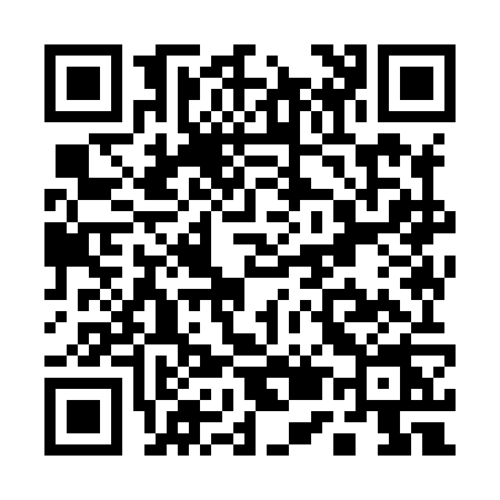 QR code for Q598