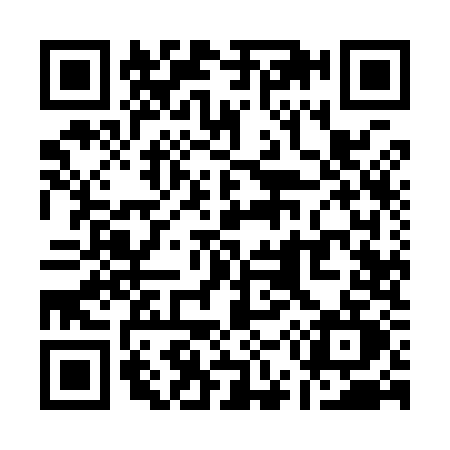 QR code for Q599