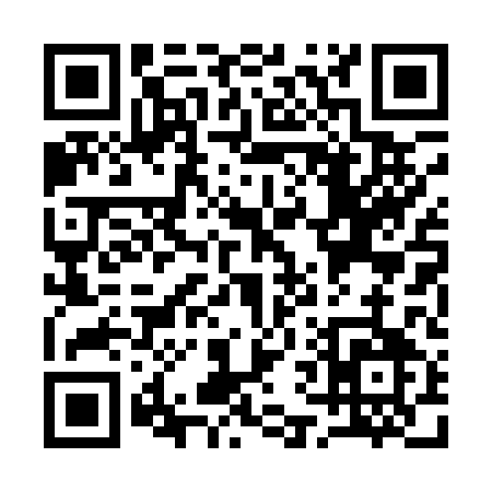 QR code for Q6011