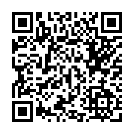 QR code for Q6295