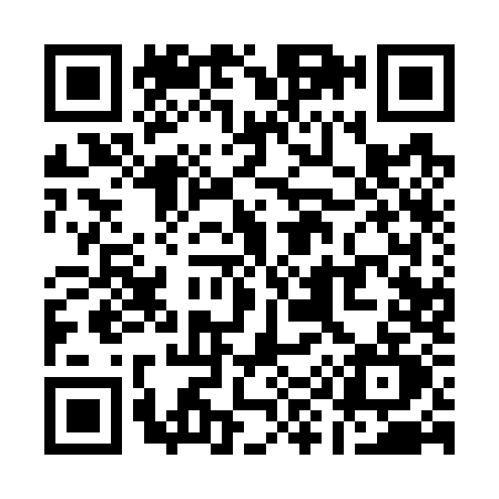 QR code for Q917