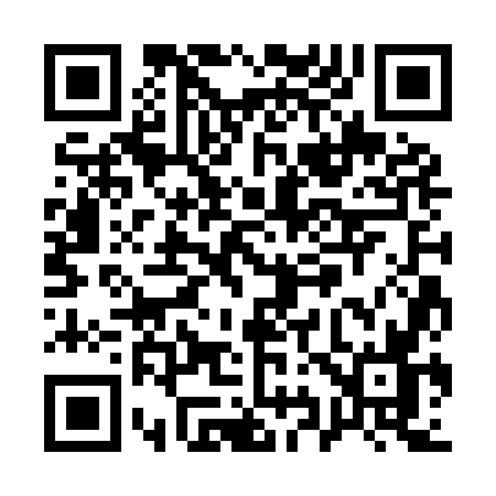QR code for Q939