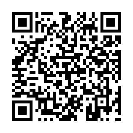 QR code for Q993