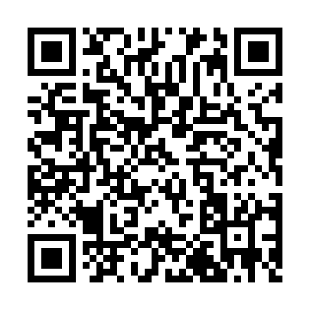 QR code for R0541