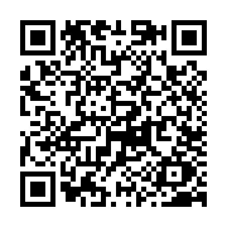 QR code for R161