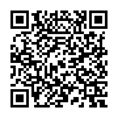 QR code for R229