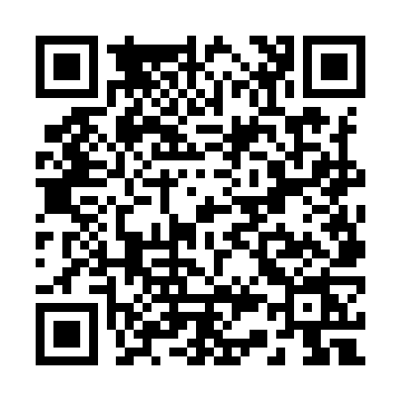 QR code for R369