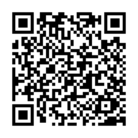 QR code for R397