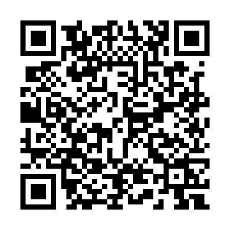 QR code for R411