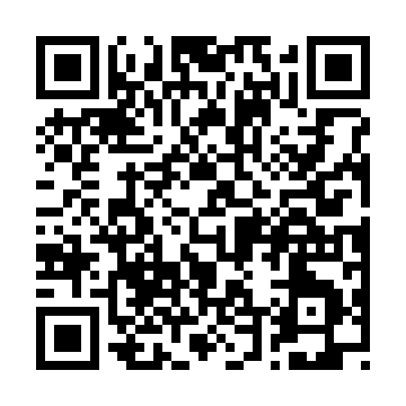 QR code for R4739
