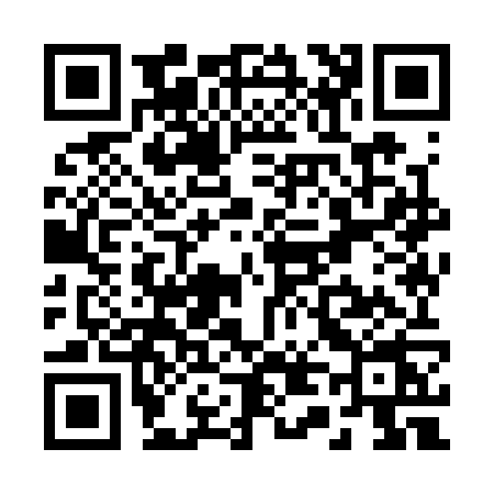 QR code for R493
