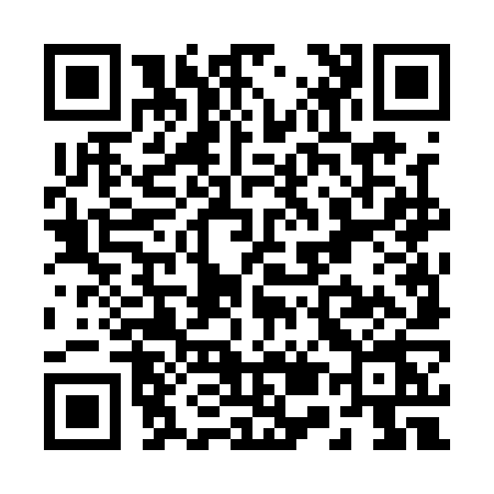 QR code for R541