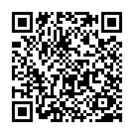 QR code for R595