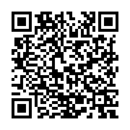 QR code for R599