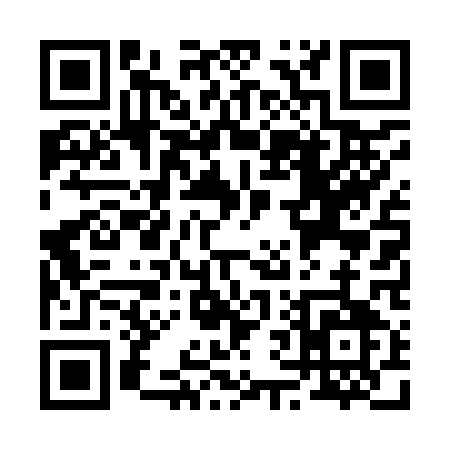 QR code for R6491