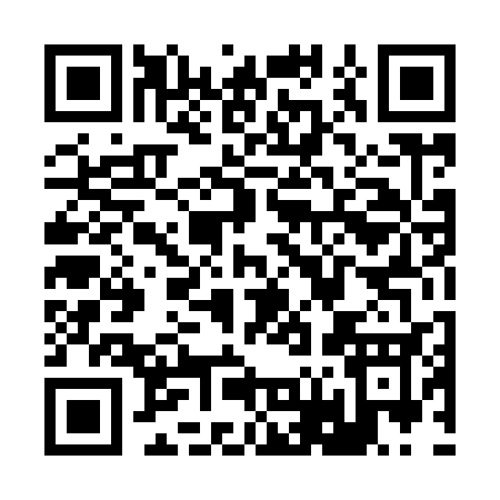 QR code for R6493