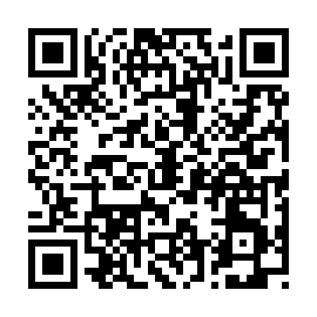 QR code for R6596