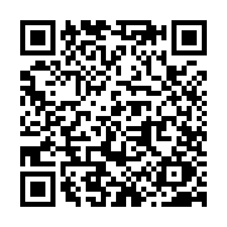 QR code for R699
