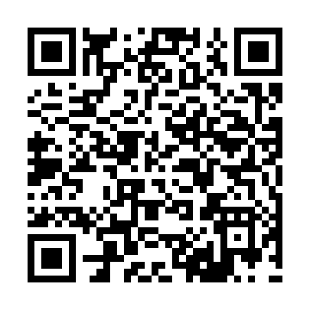 QR code for R8538