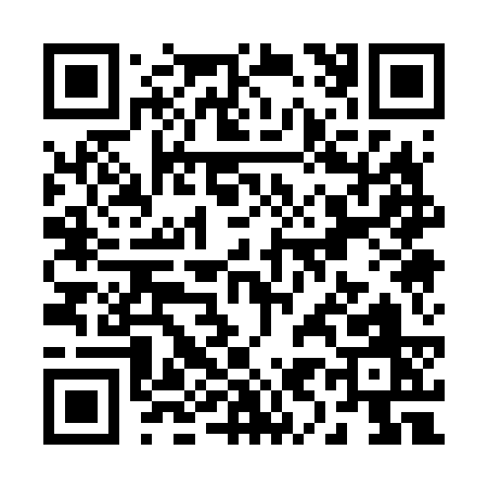 QR code for R9163