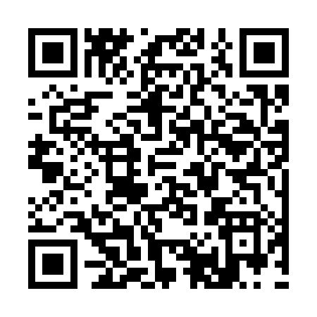QR code for S0338