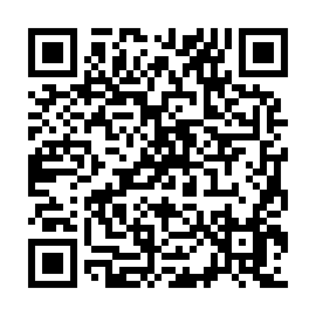 QR code for S0394