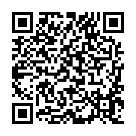 QR code for S0419