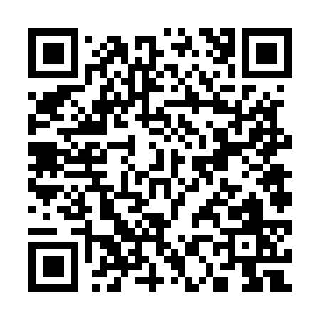 QR code for S0653