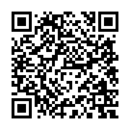 QR code for S1243