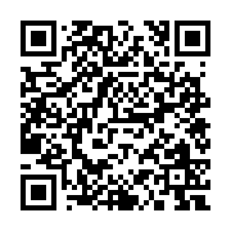 QR code for S1733